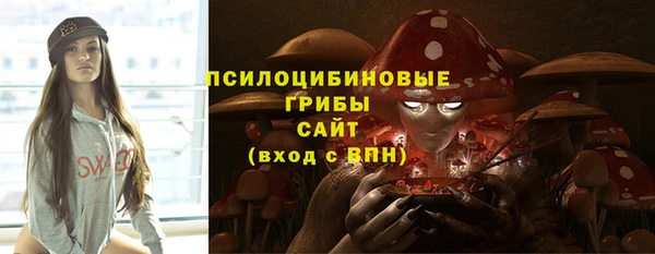 ГАЛЛЮЦИНОГЕННЫЕ ГРИБЫ Алзамай