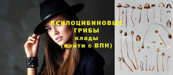 ПСИЛОЦИБИНОВЫЕ ГРИБЫ Алексин