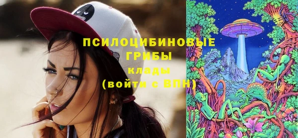 ПСИЛОЦИБИНОВЫЕ ГРИБЫ Алексин