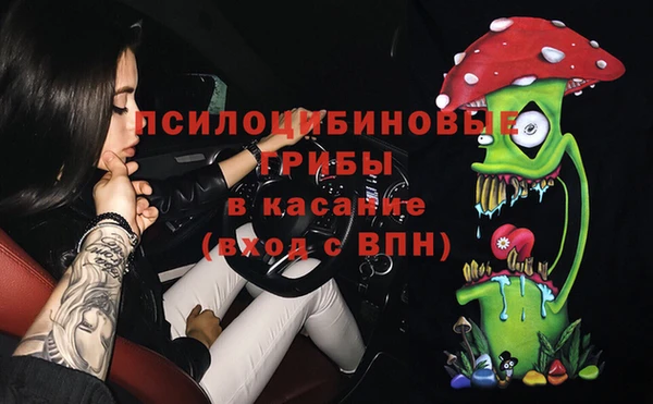 ПСИЛОЦИБИНОВЫЕ ГРИБЫ Алексин
