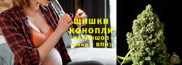 ГАЛЛЮЦИНОГЕННЫЕ ГРИБЫ Алзамай